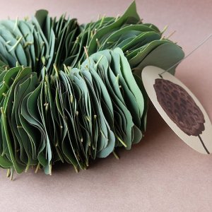 画像3: Dry plants for decor ユーカリリーフリース