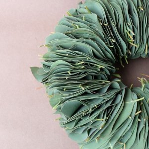 画像5: Dry plants for decor ユーカリリーフリース