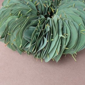 画像2: Dry plants for decor ユーカリリーフリース