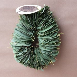 画像6: Dry plants for decor ユーカリリーフリース