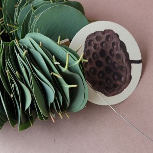 画像3: Dry plants for decor ユーカリリーフリース