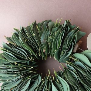 画像4: Dry plants for decor ユーカリリーフリース