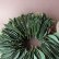 画像4: Dry plants for decor ユーカリリーフリース (4)