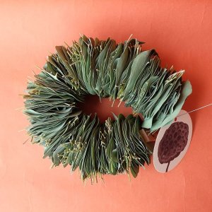 画像1: Dry plants for decor ユーカリリーフリース