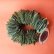 画像1: Dry plants for decor ユーカリリーフリース (1)