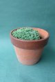 多肉植物（プレビフォリウム・セダム属）