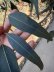 画像11: Dry plants for decor ユーカリ生切り枝（カマルドレンシス）タイプ700〜1000mm (11)