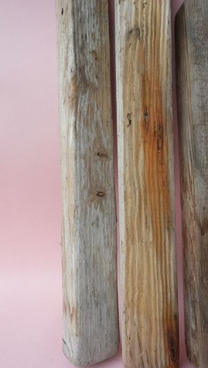 画像6: 板流木セット