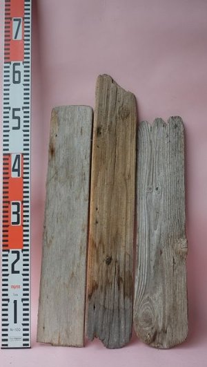 画像5: 板流木セット