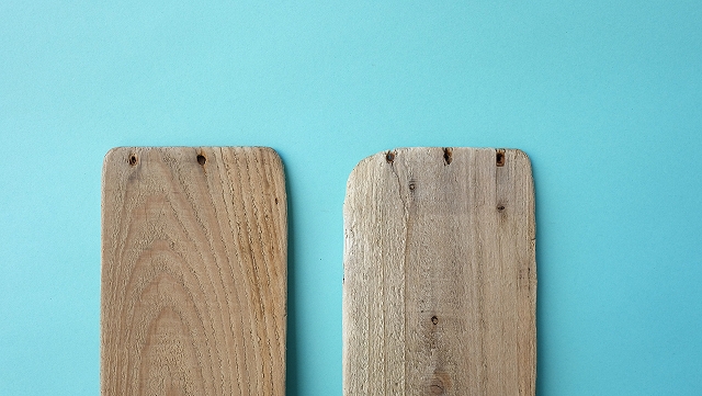 板流木セット - 流木素材市場 阿波遊木