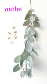  Dry plants for decor ユーカリ生切り枝（テトラゴナシルバー）タイプ500〜700mm をアウトレット価格にいたしました。