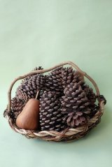 Dry plants for decor ジャンボ松ぼっくり及び松ぼっくり3個セットの在庫を補充しました。