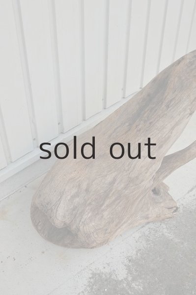 画像2: 大型 根 (2)