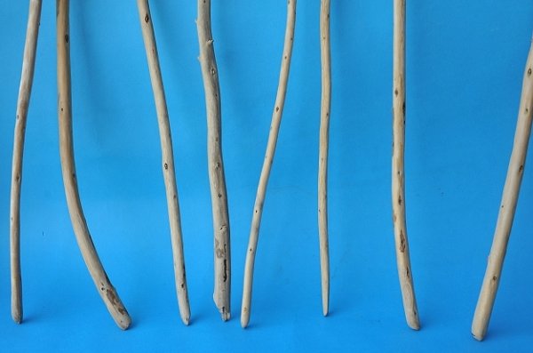 画像2: 棒流木セット (2)