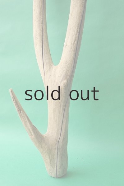 画像2: 幹流木 (2)