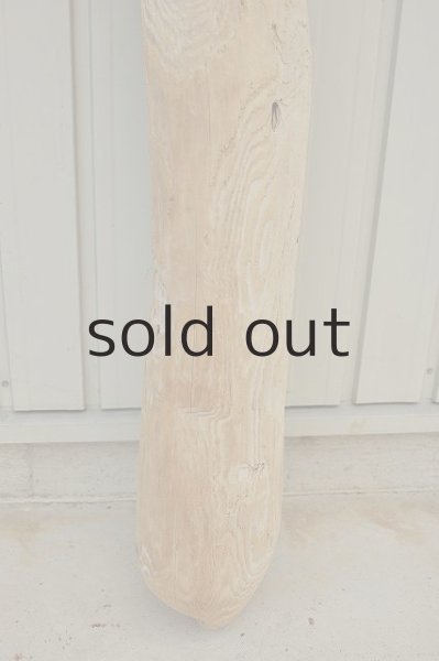 画像2: 大型 幹 (2)