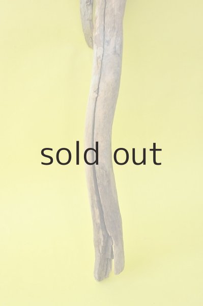 画像2: 大型 流木根 (2)