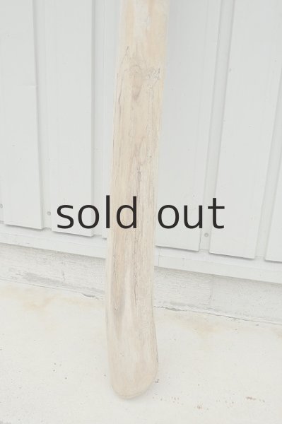 画像2: 大型 変形幹 (2)