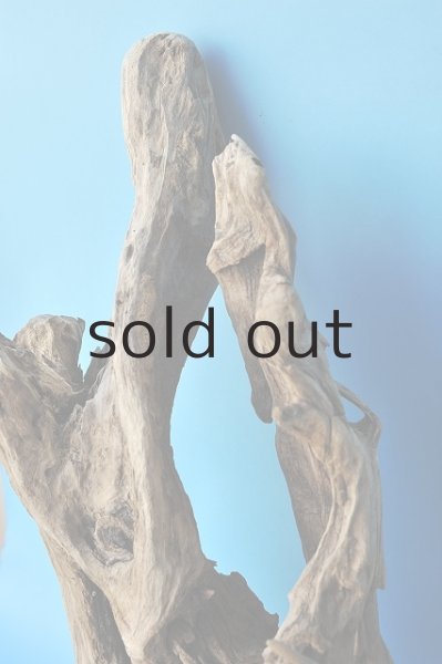 画像3: 大型 変形 (3)