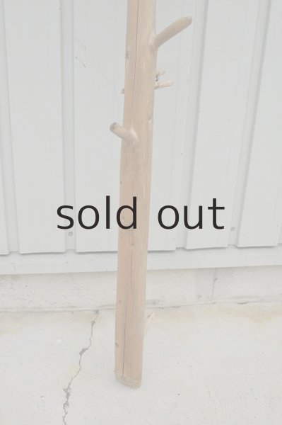 画像2: 大型 幹 (2)