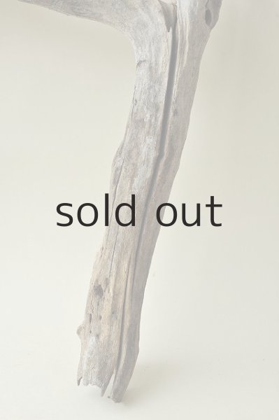 画像4: 枝流木 (4)