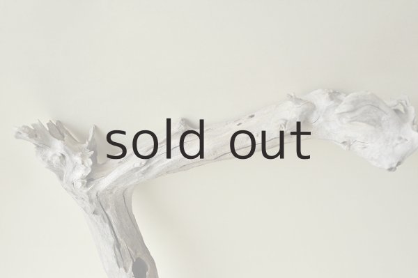 画像3: 枝流木 (3)