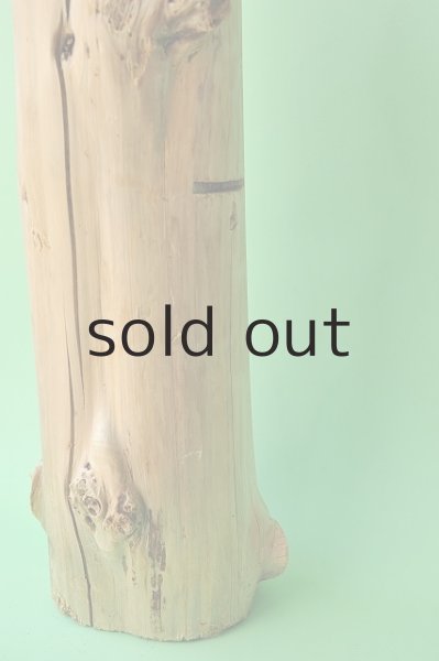 画像3: 幹流木 (3)