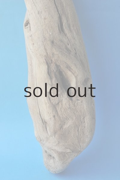 画像4: 幹流木 (4)