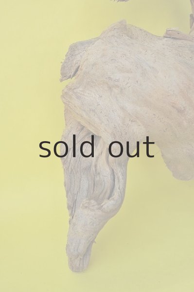 画像2: 大型 変形 (2)