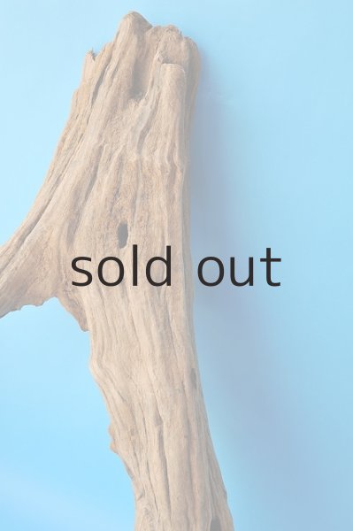 画像3: 大型 変形 (3)