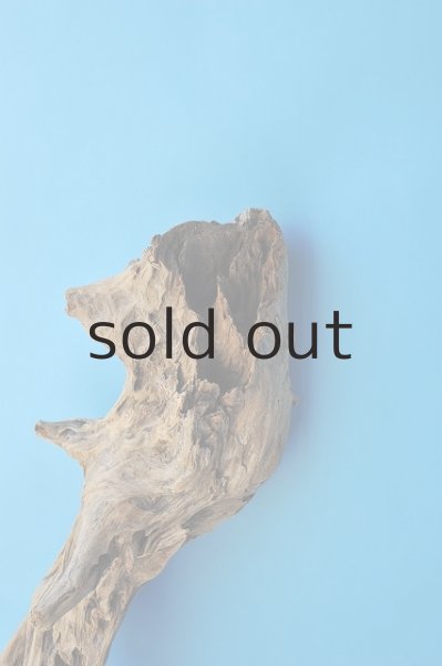 画像3: 大型 根 (3)