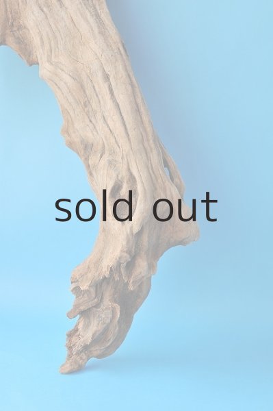 画像2: 大型 変形 (2)