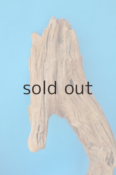 画像4: 大型 変形 (4)