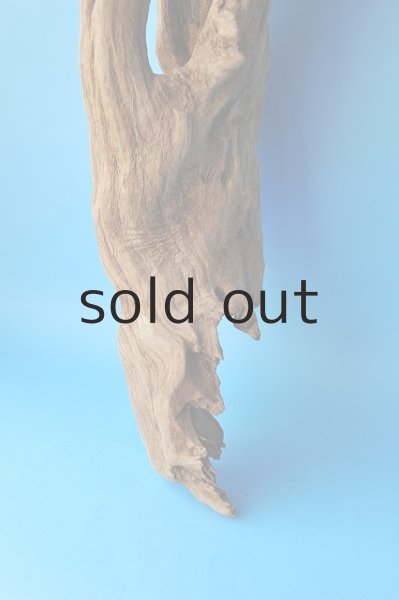 画像5: 大型 変形 (5)