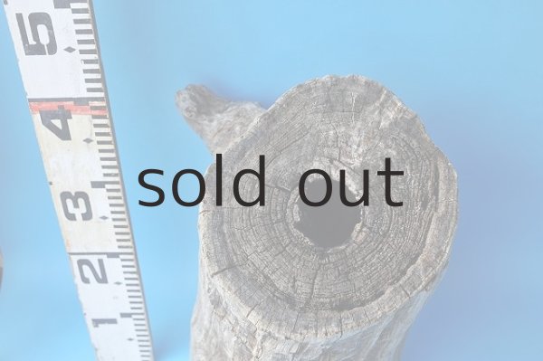 画像4: 大型 変形切り株 (4)