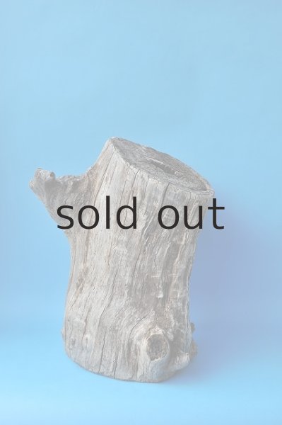 画像2: 大型 変形切り株 (2)