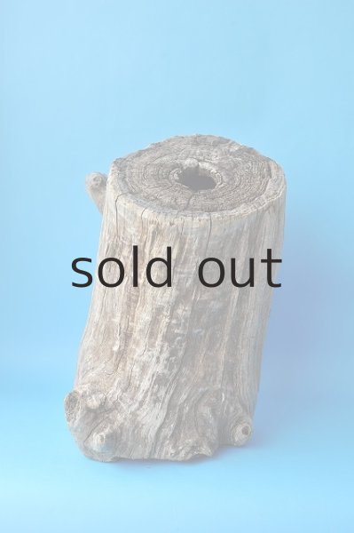 画像3: 大型 変形切り株 (3)