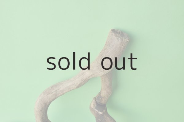 画像3: 流木根 (3)