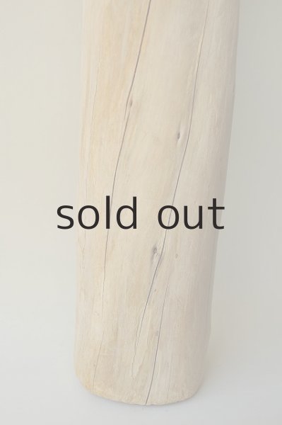 画像2: 幹流木 (2)