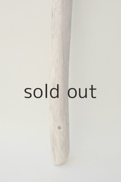 画像2: 幹流木 (2)