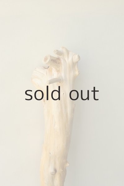 画像2: 幹流木 (2)