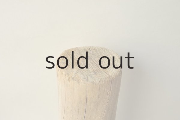 画像3: 幹流木 (3)