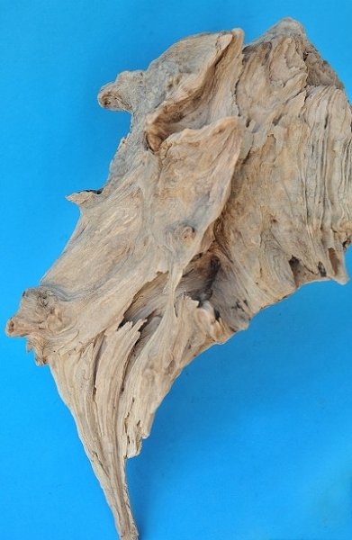 画像4: 流木根・中型 (4)