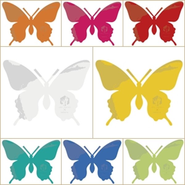 画像5: AWA YuBOKU tef-tef (5)