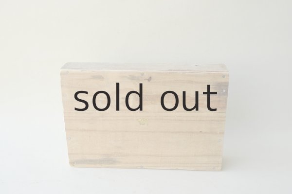 画像2: トロ箱 (2)