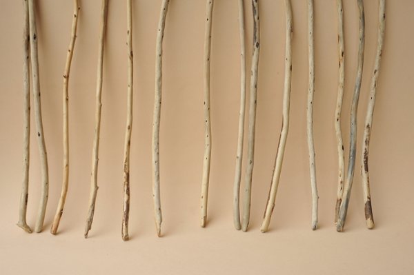 画像2: 棒流木セット (2)