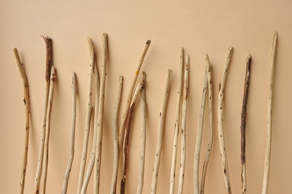 画像3: 棒流木セット (3)