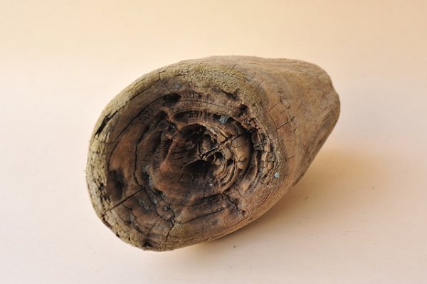 画像3: 変形流木 (3)