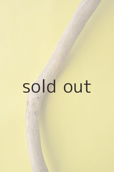 画像3: 幹流木 (3)