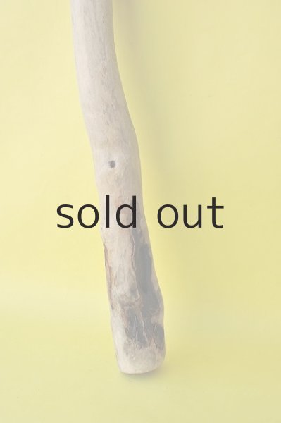 画像2: 幹流木 (2)